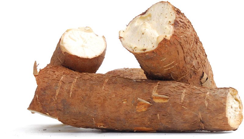 Cassava  from Zina Shopping Mall